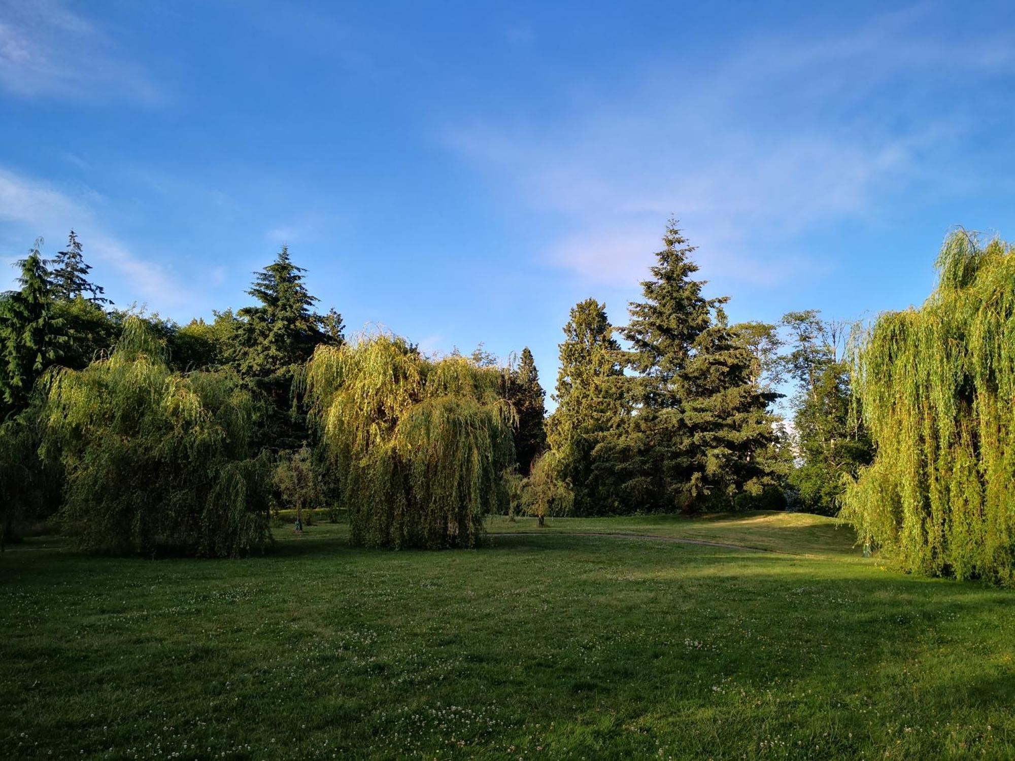 Entire Forest Home Near Nature & Amenities เซอร์รีย์ ภายนอก รูปภาพ
